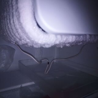 1ドア冷蔵庫　エスキュービズム　冷凍機能付