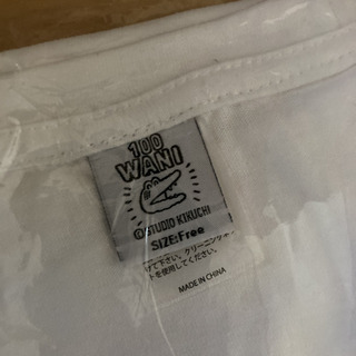 100日ワニTシャツの画像