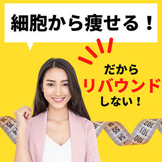 細胞から痩せる！あなただけのパーソナルダイエットプログラムを作っ...