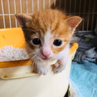 お問合せを頂いて取りますので一旦募集を停止いたしますm(_∞_)...