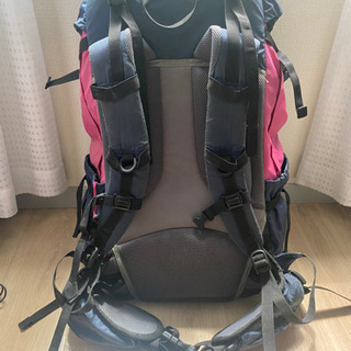 coleman　メンズバックパックの画像