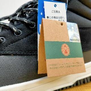 【未使用】Coleman シューズの画像