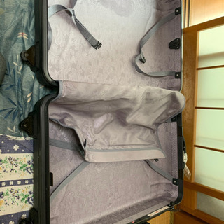 キャリーバック大の画像