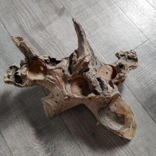 キャンドルスタンド流木