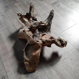キャンドルスタンド流木の画像