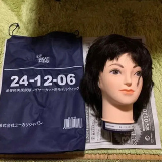 カットウィッグ カット済