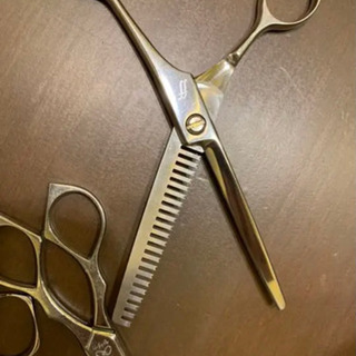 美容 シザーズ 2丁セット 左は売り切れましたの画像