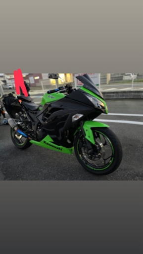 Ninja250specialEdition【最終値下げ】早い者勝ち