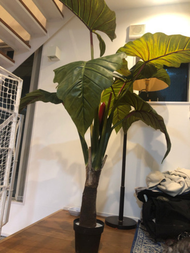人工観葉植物