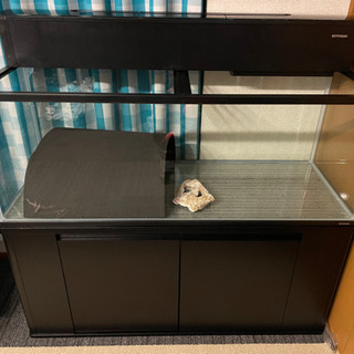 120×45×45mm水槽セット 必ず説明欄ご確認ください 120×45×45mm水槽セット 必ず説明欄ご確認ください