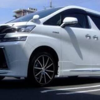 STEINER FORCED SF-V