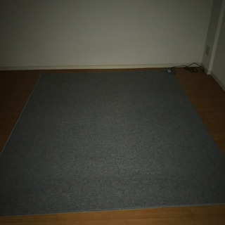 3畳相当ホットカーペットの画像