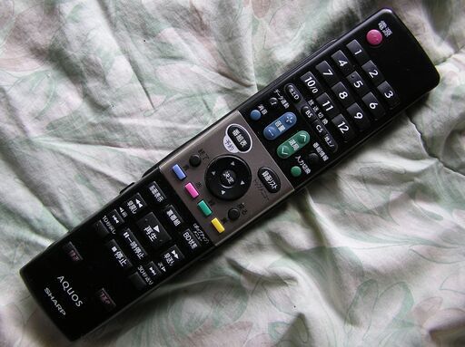 ◇シャープ32型テレビ アクオス世界の亀山モデル。