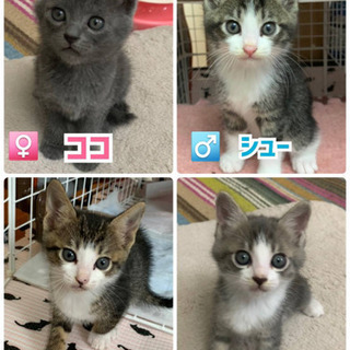 可愛い4きょうだい♡♡♡♡