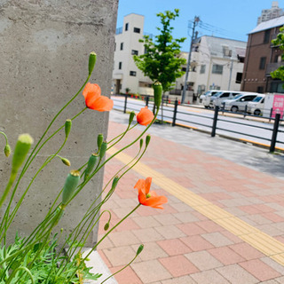 手紙が書ける友達がいませんか