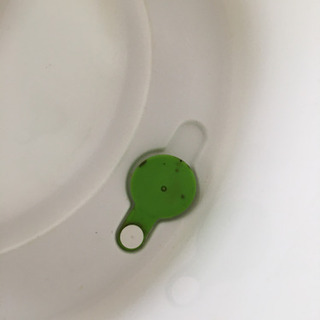 【6月末迄】ベビーバス差し上げます！の画像