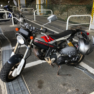 【終了しました】ストリートマジックⅡ