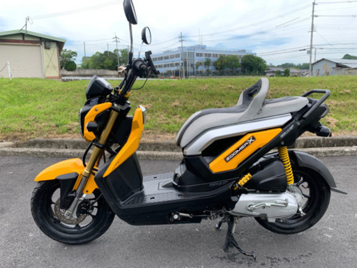 大人気‼️ホンダズーマーX110‼️上物美車‼️ライトカスタム‼️
