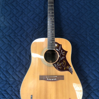 KAWAI フォークギター
