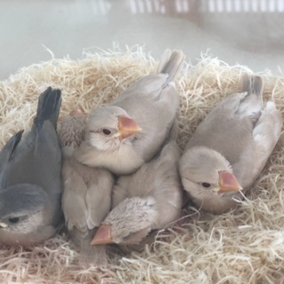 たくさんご応募ありがとうございます🙇‍♀️募集ストップさせてもら...