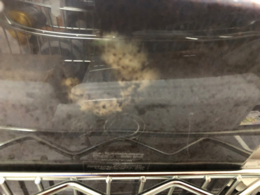 夏本番前！！カブムシ　クワガタ大量セット
