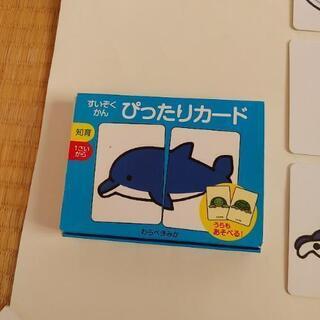 すいぞくかん　ぴったりえあわせカード