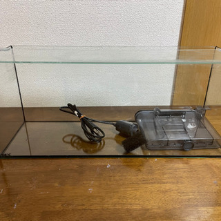 GEX 横60センチ水槽　一時停止中。の画像