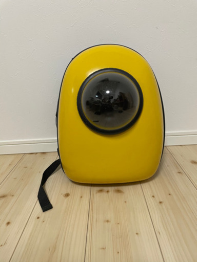 【宇宙】ペットリュック（美品）