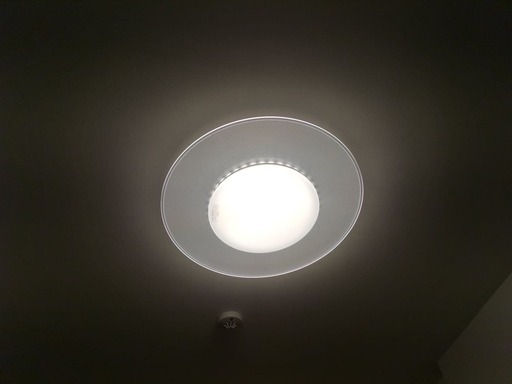シーリングライト  Ceiling Light