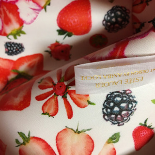 (未使用品)ESTEE LAUDERのポーチ＆オマケの画像