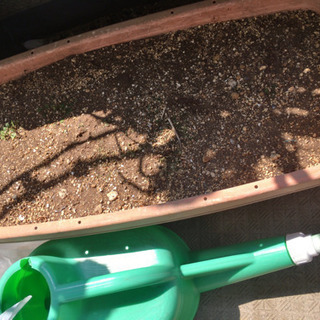 植物、土入りプランター、の画像
