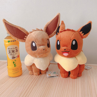 イーブイ　ぬいぐるみ　セット
