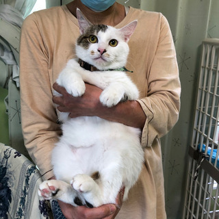 おっとり穏やかシロ君10ヶ月