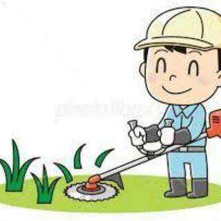 急募 草刈り 集草スタッフ 昼食付