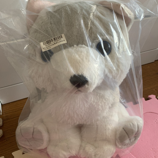 オオカミ　ぬいぐるみ