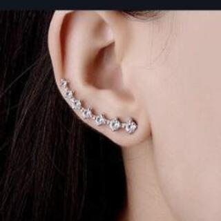 ピアス?イヤーカフ?