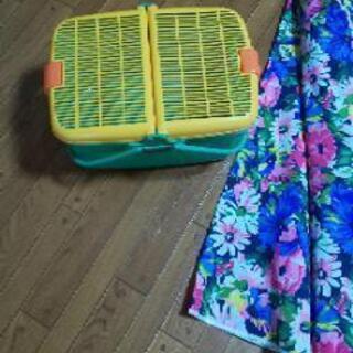 ビーチパラソル、差し上げますの画像