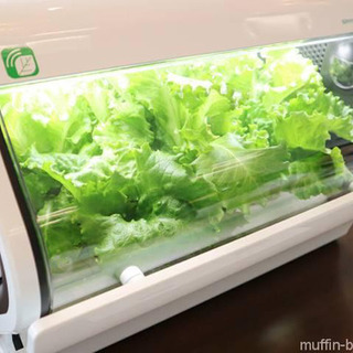【美品】水耕栽培キット　やさい物語