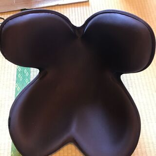 ボディメイクシート　スタイル　差し上げます