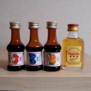 シンデレラシューとアルプスのお酒（オーストリア産） 未開栓 AN1の画像