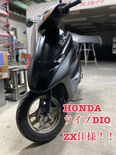 HONDA ライブDIO ZX仕様 ホンダ ライブディオ