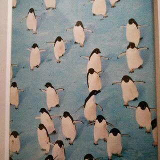 インテリア壁掛けの絵ペンギンの画像