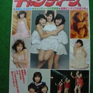 キャンディーズの写真集  (価格を下げました)