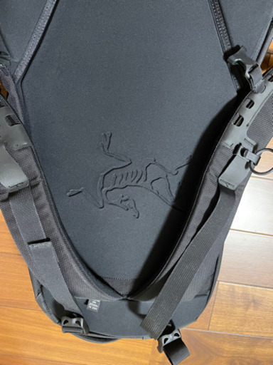 【受け渡し者決定済】アークテリクス　リュック