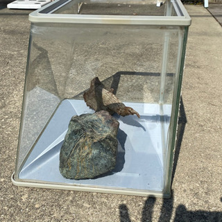 アクリル水槽　35×30×30 重量3.3キロの画像