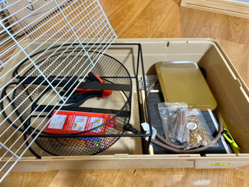 ハリネズミ飼育セット