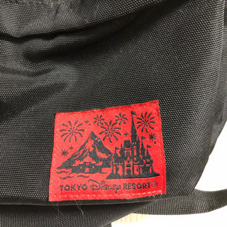 【取引完了】ディズニーリゾートのリュック 中古の画像