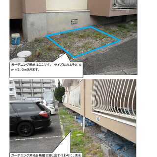 松山市福音寺、ガーデニングいかがですか？ - 松山市
