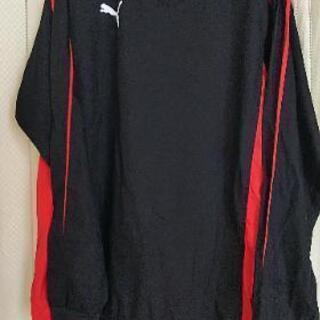 PUMA ピステ