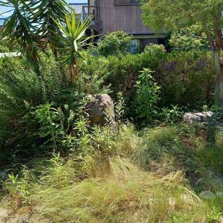 草刈り、清掃アルバイト（定期的にあります）の募集の画像